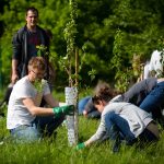 CSR Team Building Là Gì? Xu Hướng Team Building Gắn Với Trách Nhiệm Xã Hội