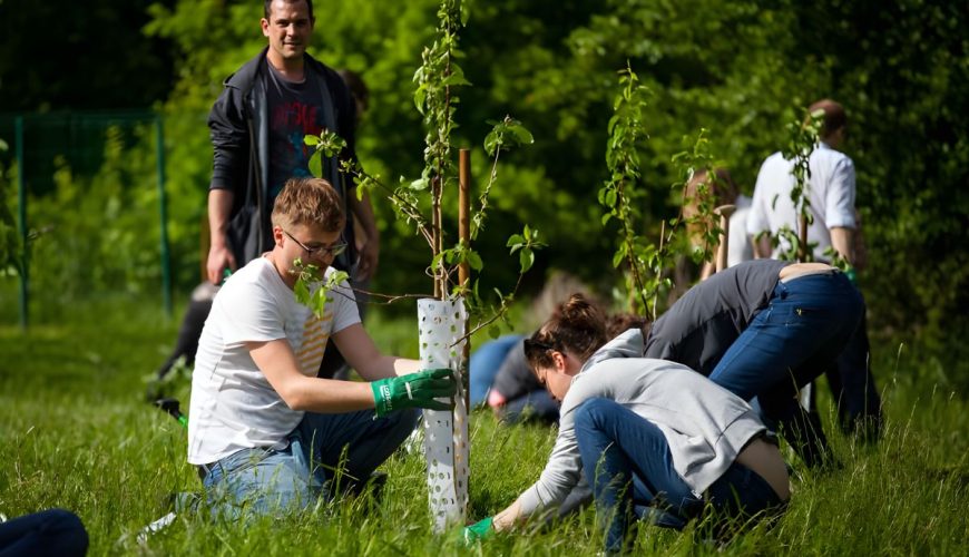 CSR Team Building Là Gì? Xu Hướng Team Building Gắn Với Trách Nhiệm Xã Hội