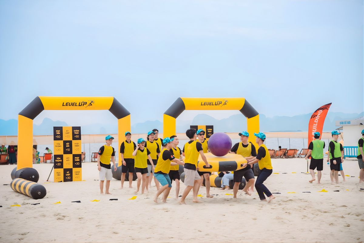 Viet Vision Team Building - Công ty Tổ Chức Sự Kiện Team Building Uy Tín