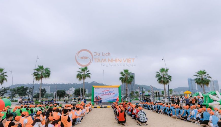 Cách Tổ Chức Team Building Hiệu Quả Bí Quyết Gắn Kết Đội Nhóm Thành Công Nhất 2025