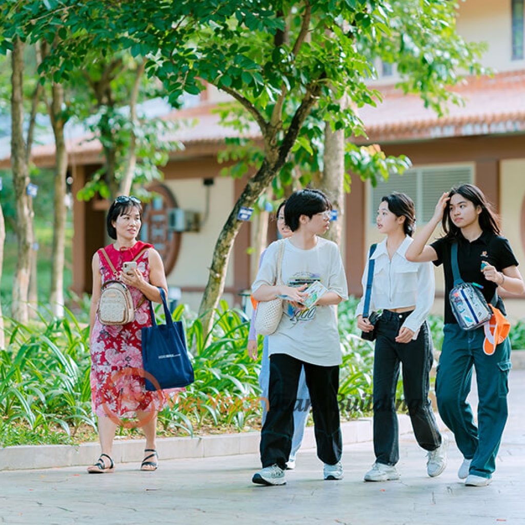 Hình Ảnh Tổ Chức Team Building & Gala Dinner tại Hạ Long Lớp 8A1 – Trường THCS Archimedes Academy
