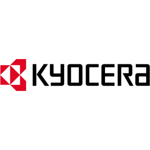 Tổ chức team building công ty - Kyocera