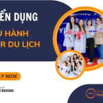 Tuyển Dụng Nhân Viên Điều Hành Tour Du Lịch