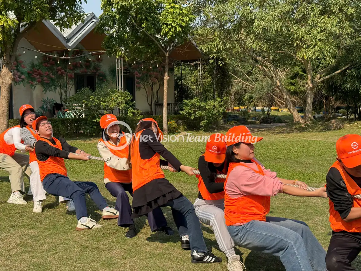 Đội chơi phối hợp kéo co trong hoạt động team building ngoài trời