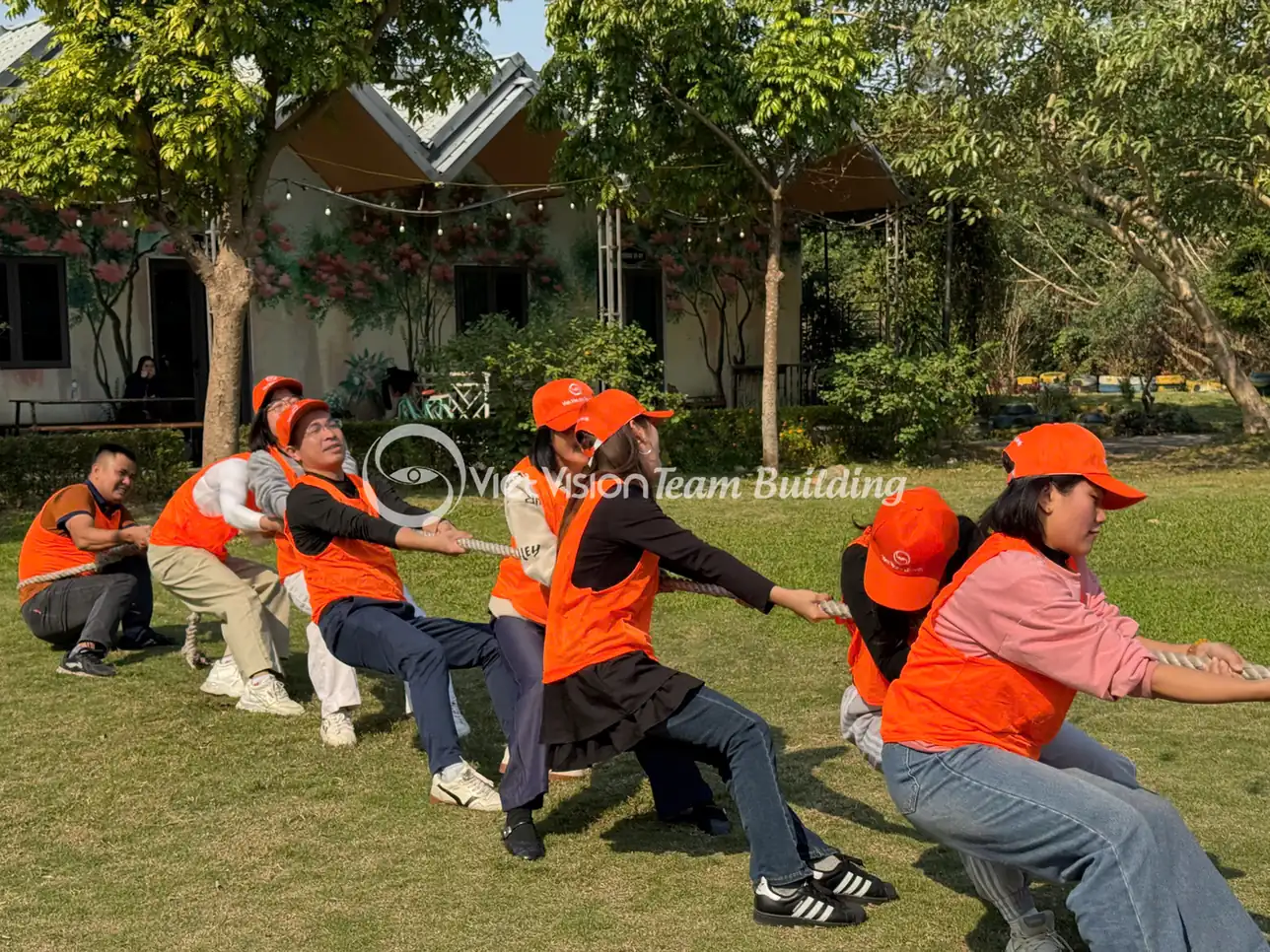 Đội chơi kéo co trong hoạt động team building cần kiểm soát an toàn