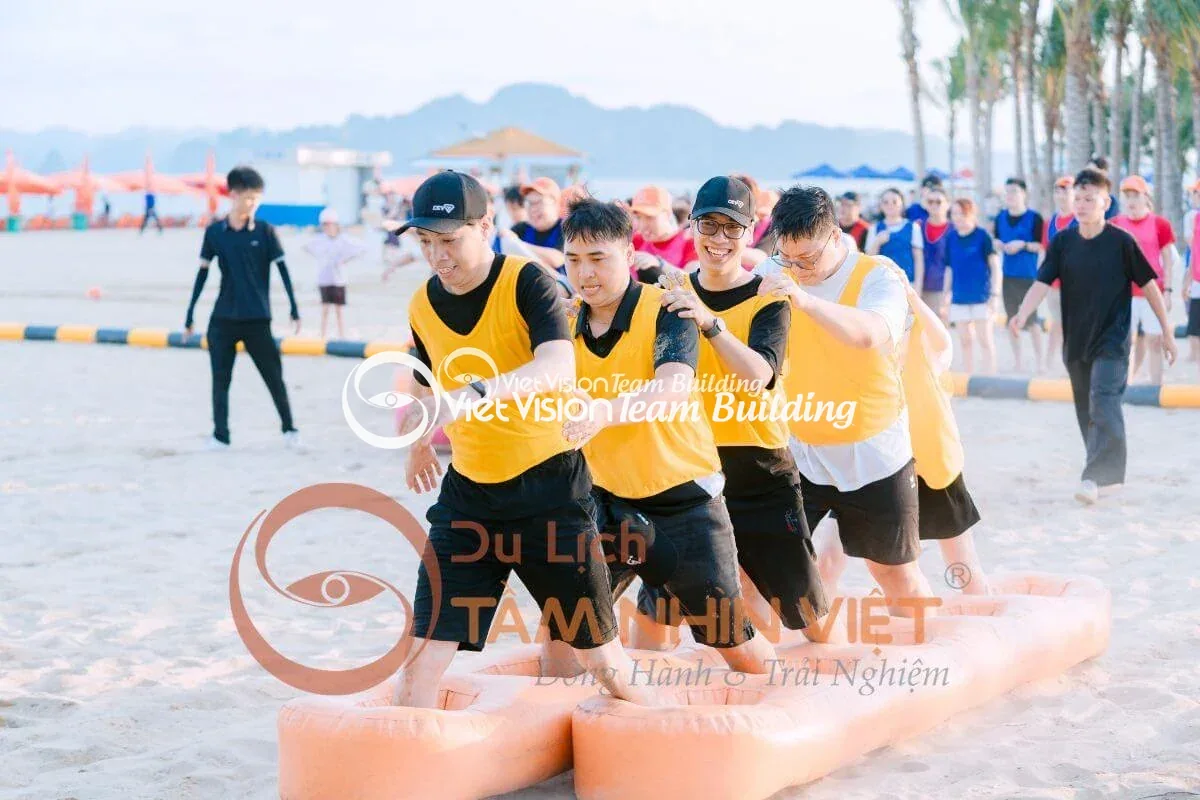 Hoạt động gắn kết tập thể trong tour team building Hạ Long Hoạt động gắn kết tập thể trong tour team building Hạ Long