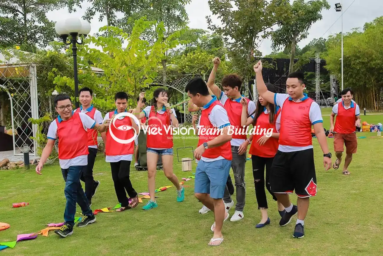 Hoạt động tập thể do Viet Vision tổ chức