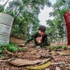 Công ty tổ chức team building quân đội tại khu sinh thái Thiên Phú Lâm