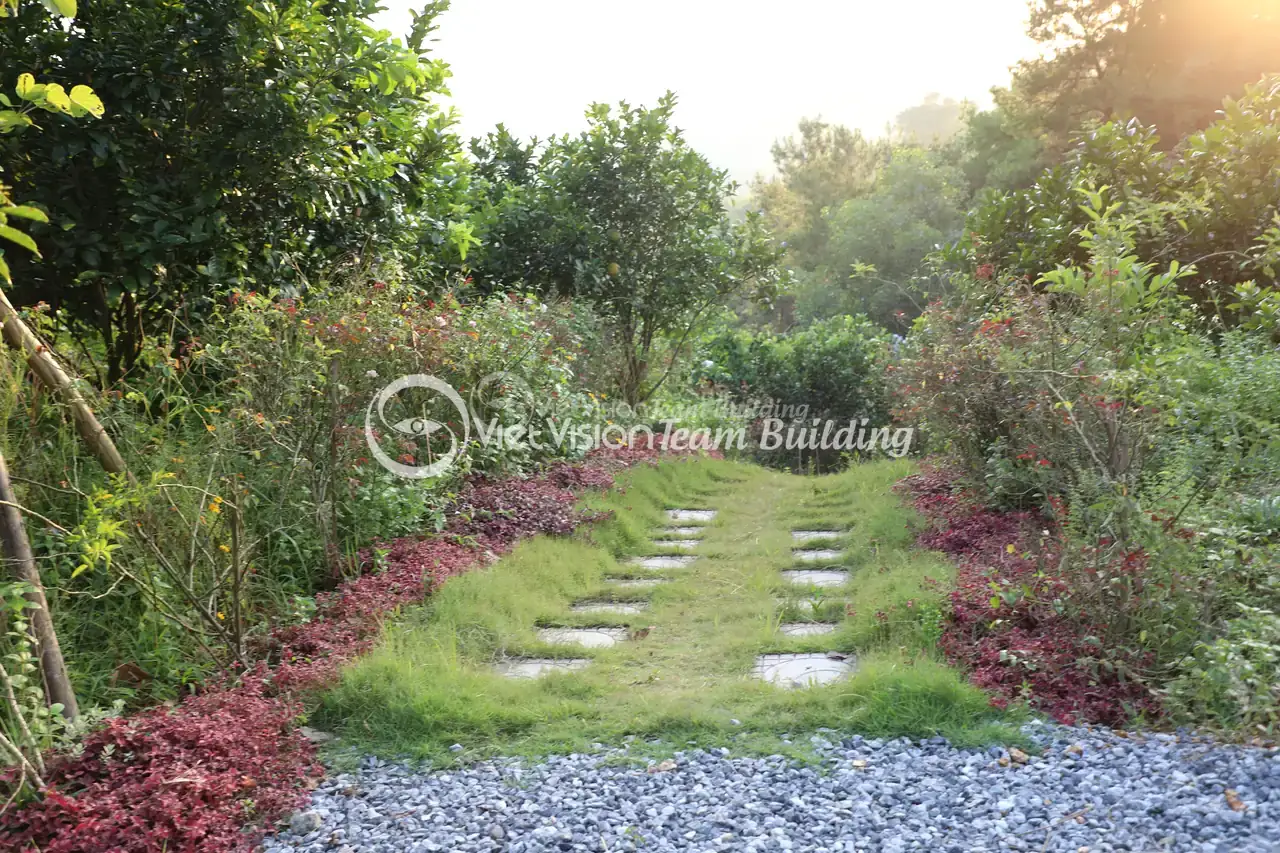 Lối dạo xanh phù hợp khoảng nghỉ trong company trip