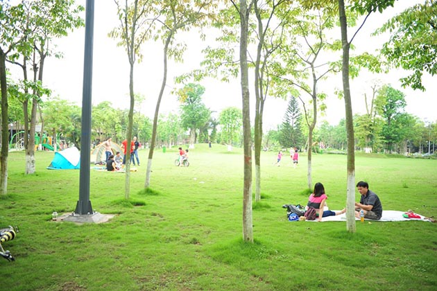 Địa điểm tổ chức team building cho trẻ em - C Ecopark
