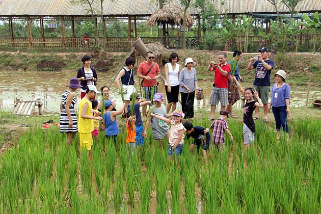 Địa điểm tổ chức team building cho trẻ em - Khu du lịch Long Việt