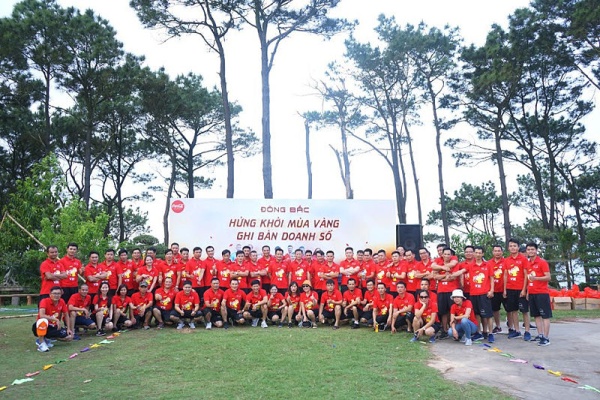 Tổ chức team building chuyên nghiệp tại Hòn Dáu Resort