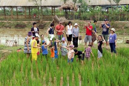 Dịch vụ tổ chức team building tại Long Việt