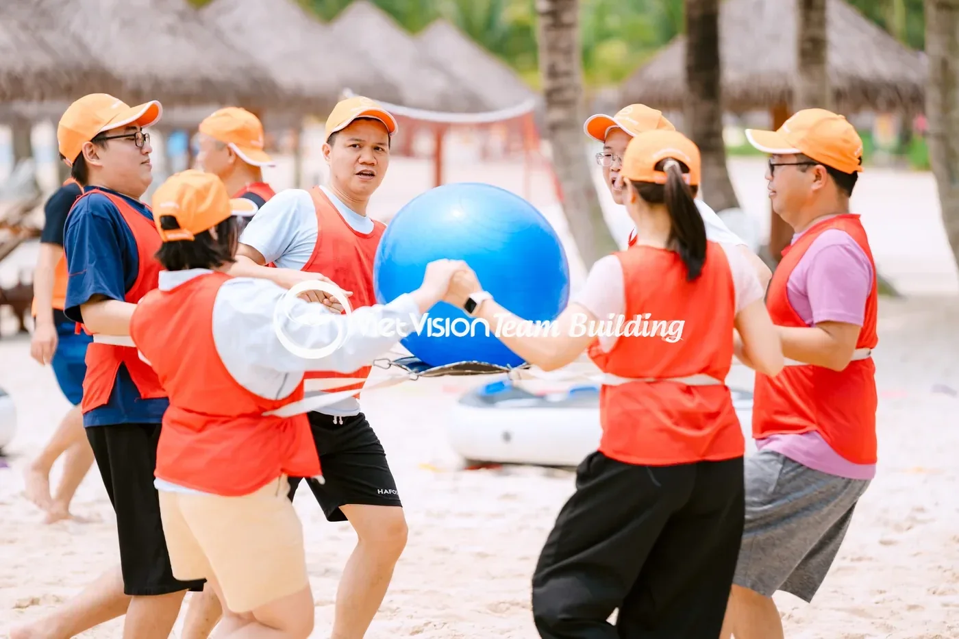 Hoạt động tập thể do Viet Vision tổ chức Hoạt động tập thể do Viet Vision tổ chức