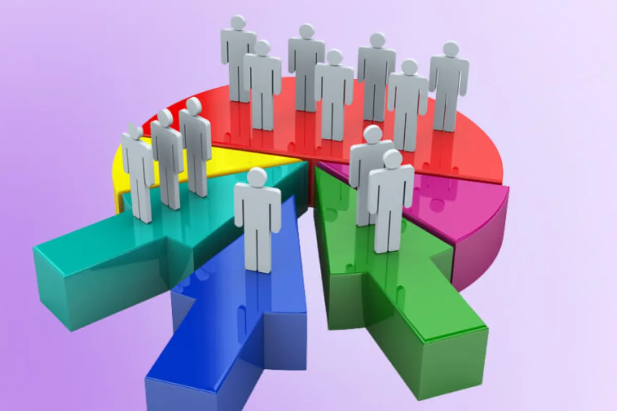 Attendee Demographics (Thông tin nhân khẩu học của người tham dự)