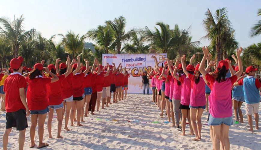 Quy trình tổ chức team building thành công