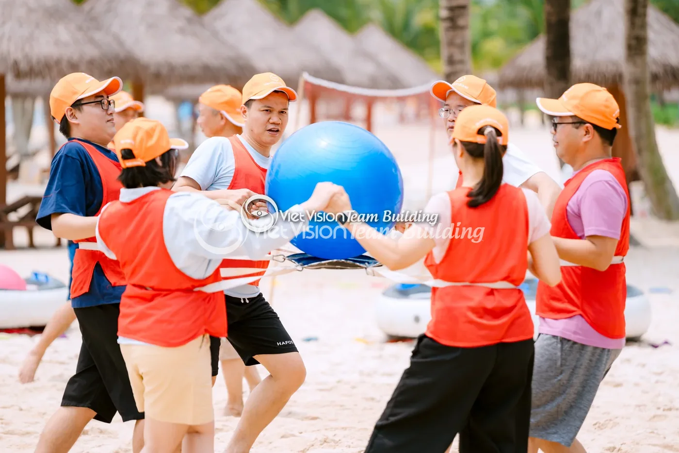 Nhân sự công ty chơi game bóng trong team building bãi biển Nhân sự công ty chơi game bóng trong team building bãi biển