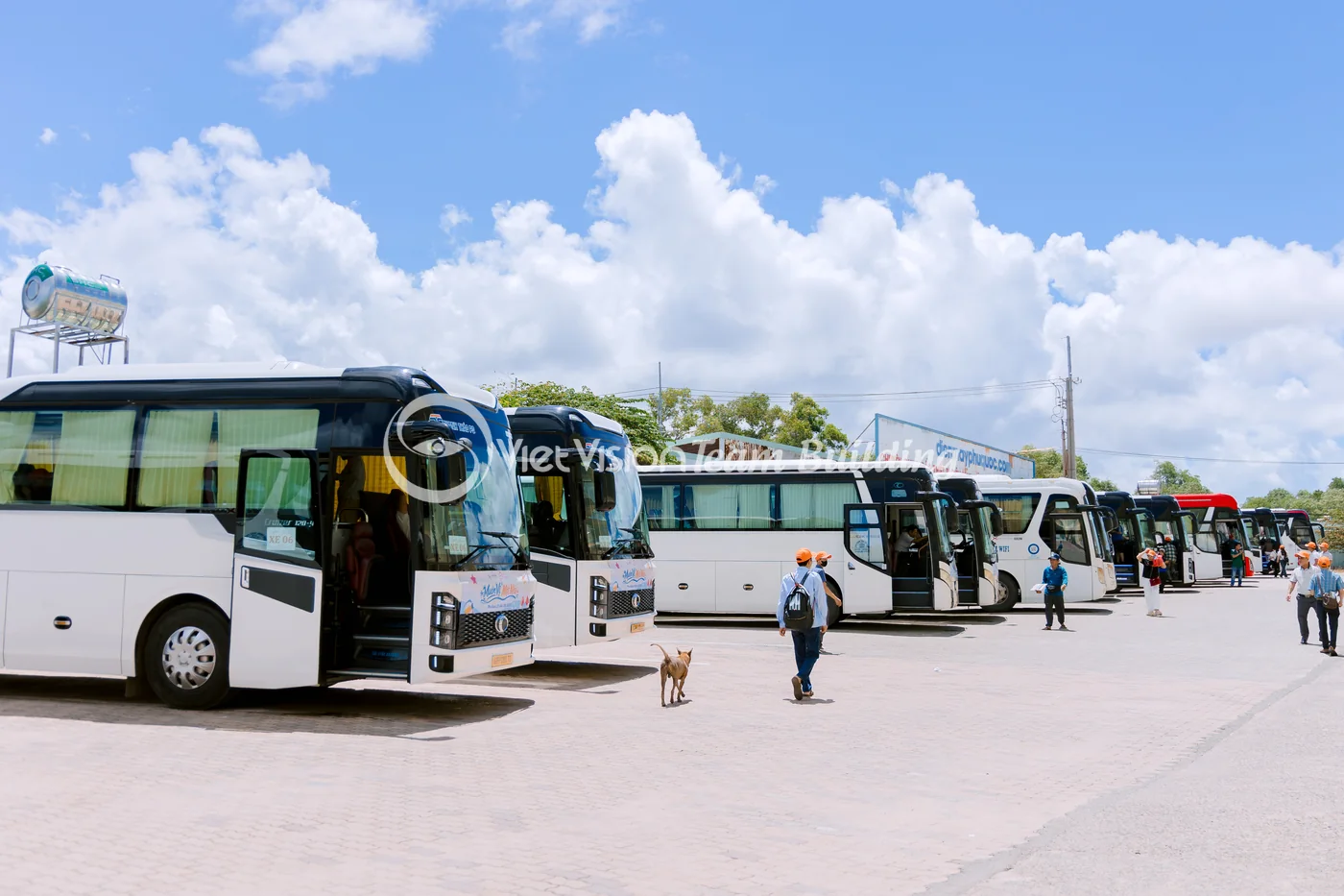 Xe phục vụ chuyến đi công ty