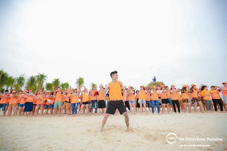 Tổ Chức Team Building Tại Hạ Long: Tạo Sóng Thành Công