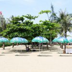 to chuc team building bai bien