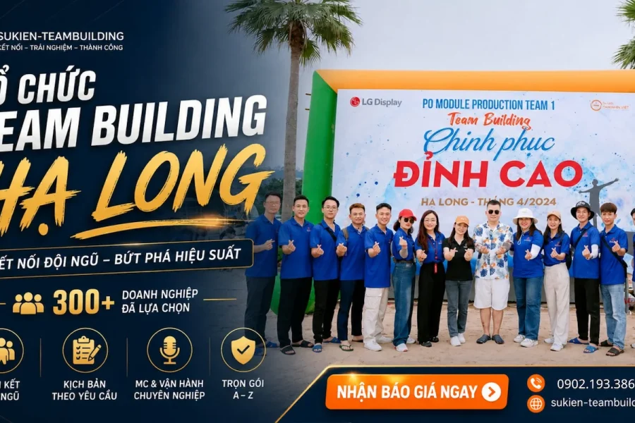 tổ chức team building hạ long cho doanh nghiệp