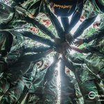 Tổ chức Team Building quân đội chuyên nghiệp, uy tín tại Hà Nội - Samsung Display