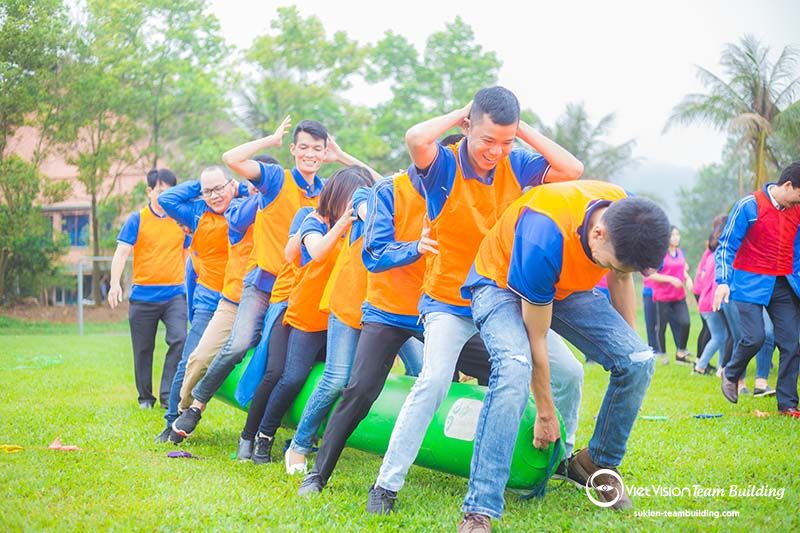 Tổ chức team building tại Cúc Phương Resort cho công ty, doanh nghiệp