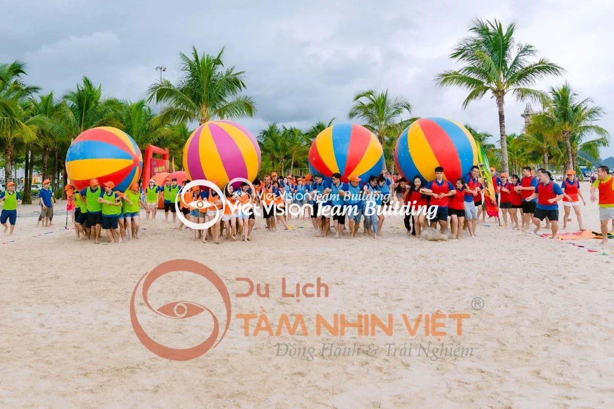Hoạt động ngoài trời giúp kiểm chứng nội dung đã thảo luận Hoạt động ngoài trời giúp kiểm chứng nội dung đã thảo luận
